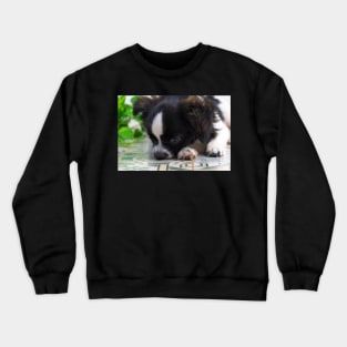 cute puppy Crewneck Sweatshirt